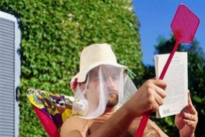 Llega el buen tiempo, ¡y los mosquitos! ¿Porqué?