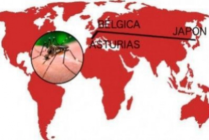 Mosquiteras en Asturias | El mosquito invasor de origen asiático