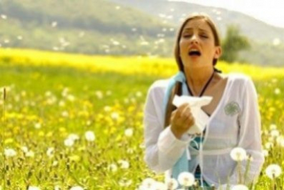 ¿Existen Mosquiteras Antipolen Eficaces?